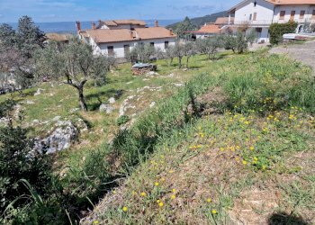 20230412_113305.jpg - Terreno edificabile Via Madonna dei Pini, Lugnano in Teverina - foto 3