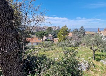 20230412_113308.jpg - Terreno edificabile Via Madonna dei Pini, Lugnano in Teverina - foto 4