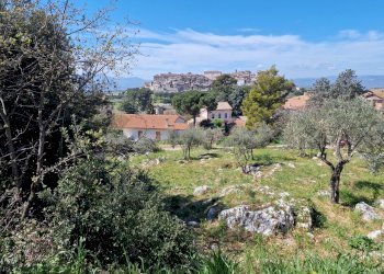 20230412_113314.jpg - Terreno edificabile Via Madonna dei Pini, Lugnano in Teverina - foto 5