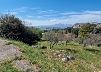 20230412_113326.jpg - Terreno edificabile Via Madonna dei Pini, Lugnano in Teverina - foto 6