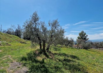 20230412_113458.jpg - Terreno edificabile Via Madonna dei Pini, Lugnano in Teverina - foto 7