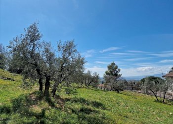 20230412_113501.jpg - Terreno edificabile Via Madonna dei Pini, Lugnano in Teverina - foto 8