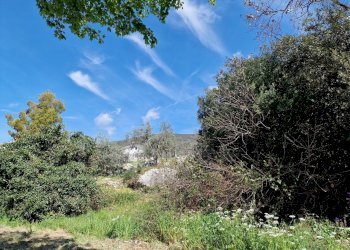 20230412_113656.jpg - Terreno edificabile Via Madonna dei Pini, Lugnano in Teverina - foto 9