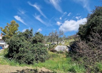 20230412_113701.jpg - Terreno edificabile Via Madonna dei Pini, Lugnano in Teverina - foto 10