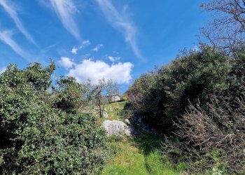 20230412_113709.jpg - Terreno edificabile Via Madonna dei Pini, Lugnano in Teverina - foto 12