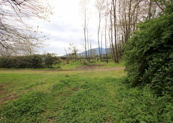 Colonica ristrutturata immersa nel verde (17).JPG - Casale Via Fonda 11, Capannori - foto 11