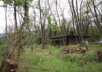 Colonica ristrutturata immersa nel verde (19).JPG - Casale Via Fonda 11, Capannori - foto 13