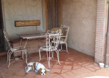 PHOTO-2024-06-03-18-17-49.jpg - Terratetto - Terracielo Seravezza - foto 5