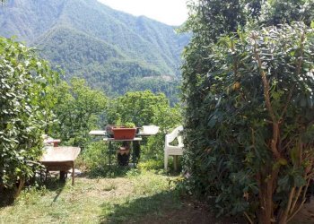 PHOTO-2024-06-03-18-17-48 7.jpg - Terratetto - Terracielo Seravezza - foto 13