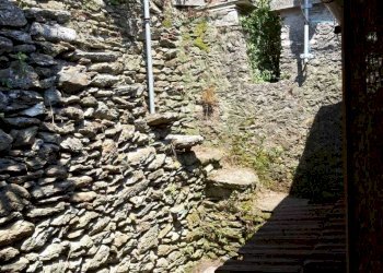 PHOTO-2024-06-03-18-17-50.jpg - Terratetto - Terracielo Seravezza - foto 18