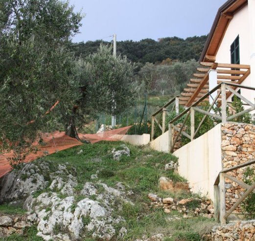 391924.png - Villa Pietrasanta - foto 1