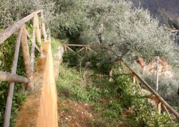 391926.png - Villa Pietrasanta - foto 4