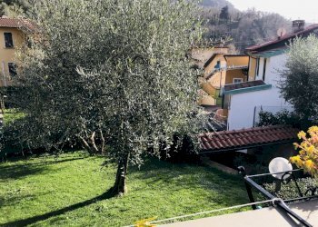 406147.jpg - Villa Pietrasanta - foto 3