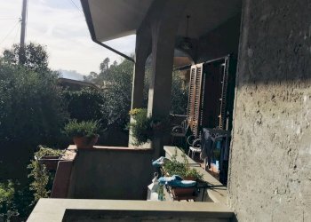 406146.jpg - Villa Pietrasanta - foto 13