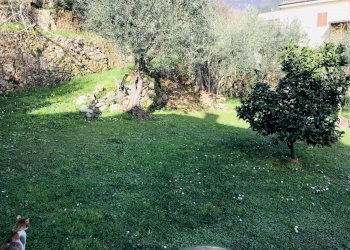 406135.jpg - Villa Pietrasanta - foto 4