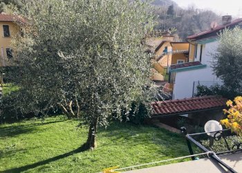 406137.jpg - Villa Pietrasanta - foto 21