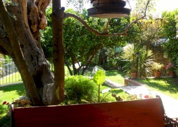 456887.jpg - Villa Pietrasanta - photo 15