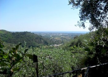 456889.jpg - Villa Pietrasanta - photo 24