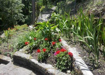 456645.jpg - Villa Stazzema - foto 22