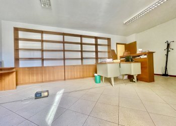 IMG_7345 2.jpg - Bilocale Montignoso - foto 3