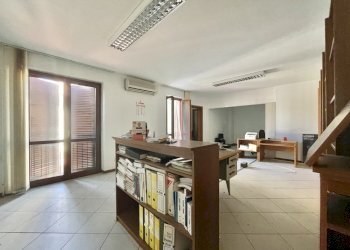 IMG_3323.jpg - Bilocale Montignoso - foto 9