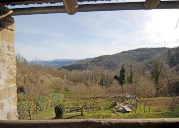 Cascina Niella Belbo - foto 10