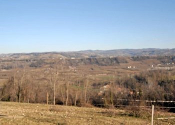 Cascina Lequio Tanaro - foto 5