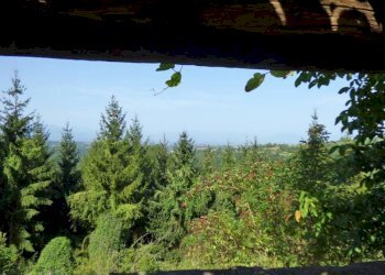 Villa Murazzano - photo 13