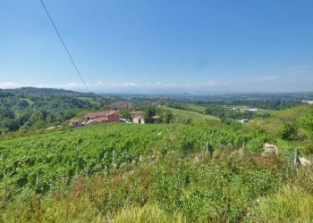 Casale BORGATA GHIGLIANI, Clavesana - photo 17