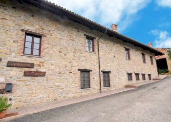 Azienda agricola Paroldo - foto 2