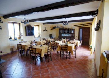 Azienda agricola Paroldo - foto 4