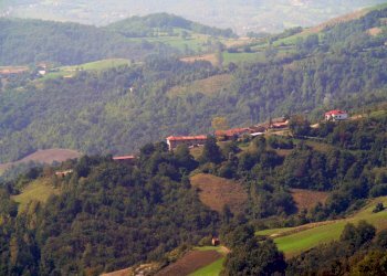 Azienda agricola Paroldo - foto 9