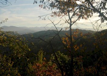 Azienda agricola Paroldo - foto 12