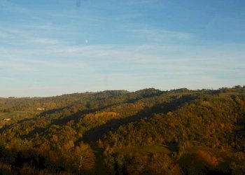 Azienda agricola Paroldo - foto 13