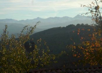 Azienda agricola Paroldo - foto 14