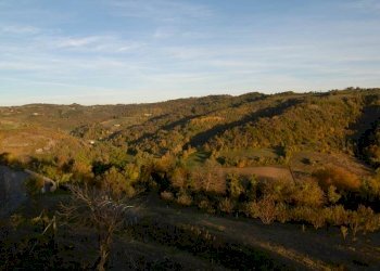 Azienda agricola Paroldo - foto 15