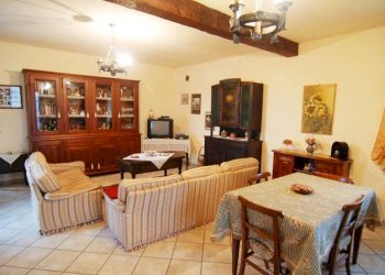 Azienda agricola Paroldo - foto 19