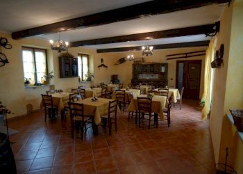 Azienda agricola Paroldo - foto 23