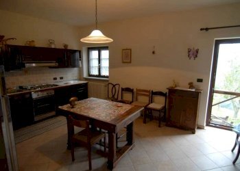 Azienda agricola Paroldo - foto 26