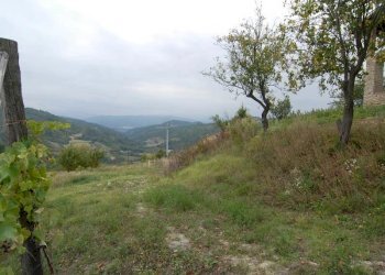 Azienda agricola Paroldo - foto 33