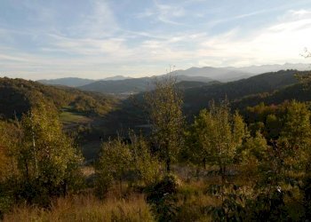 Azienda agricola Paroldo - foto 37