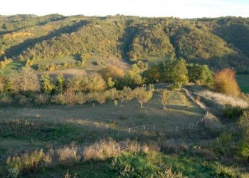 Azienda agricola Paroldo - foto 38