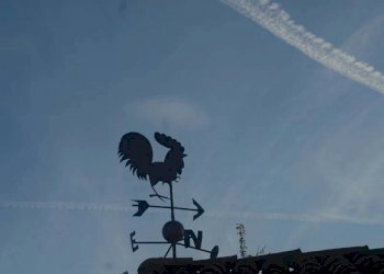 Azienda agricola Paroldo - foto 39