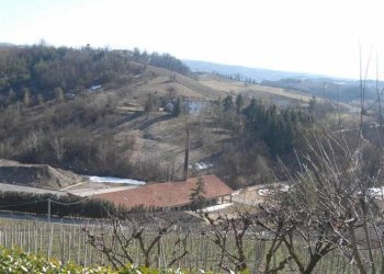 Casale Monforte d'Alba - foto 7