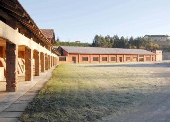 Casale Monforte d'Alba - foto 8