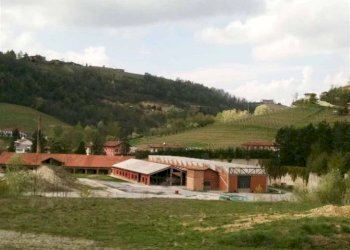 Casale Monforte d'Alba - foto 13