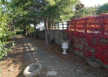 Villa Dogliani - foto 14