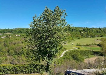 Villa Serravalle Langhe - foto 21