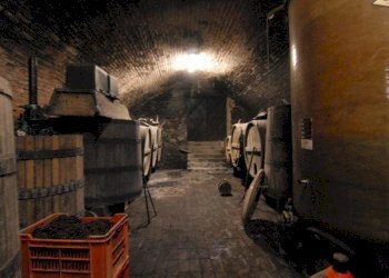 Villa Bastia Mondovì - foto 5