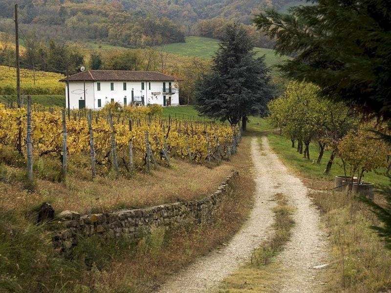 Farmhouse Santo Stefano Belbo - photo 2